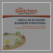 conceptual framework