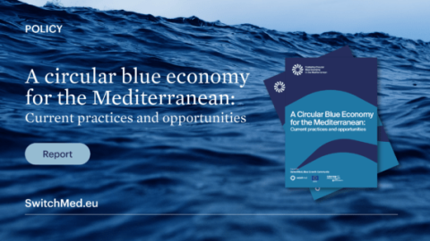 blue economy